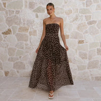 Fashionable Mesh Long Dress For Women
