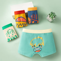 Boy Pure Cotton Boxer Brief