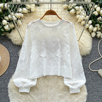 Womens Lantern-Sleeve Crew-Neck Sweatshirt With Embroidery Loose Fit