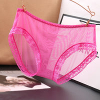 Sexy Ladies Panties Lace Edge Full Transparent Gear