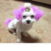 Personalized Dressing Up Dye For Dog Hair