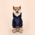 Small And Medium-sized Dog Autumn And Winter Warm And Velvet Clothing