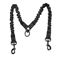 Explosion-proof double-headed pet leash