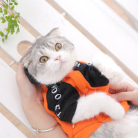 Puppy pet autumn and winter clothes