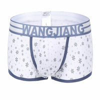 Trendy Physiological Snowflake Fallen Leaves Men's Cotton Boxers