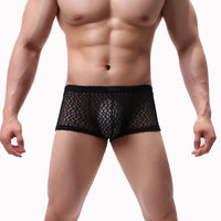 Men's Boxers  Transparent Lace Pocket Underwear