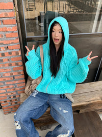 Idle Style Twist Knitted Hooded Sweater