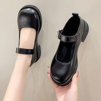 Womens French-style Mary Jane Shoes With Chunky Heels