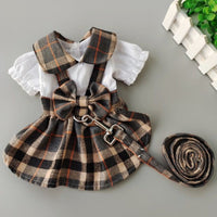 Dog Dresses For Outdoor Walks With A Leash
