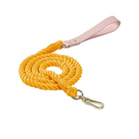 Rainbow Traction Rope Collar Adjustable Medium And Large Dog Outing Chain