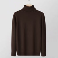 New Slimfit Turtleneck Sweater For Men