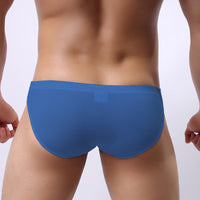 Men's Briefs Youth Ice Silk Transparent
