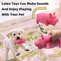Molar Long Lasting Small Medium And Large Dogs Relief Artifact Pet Dog Toy