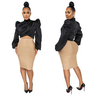 Women's Wear Puff Sleeve High Neck Short Artificial Silk Top