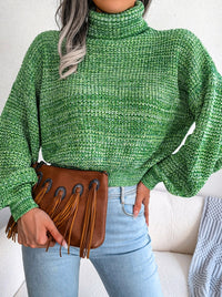 Women Mixed Color Lantern Sleeve Turtleneck Knit Sweater