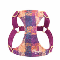 Dog Hand Holding Rope Vest Walking Dog