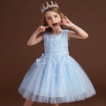 Puffy tulle princess skirt dress