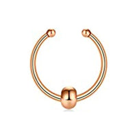 Stainless Steel Small Bone Curved Rod Nose Pin