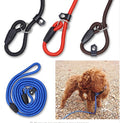 Match rope dog P-chain Teddy Bear VIP integrated traction strap pet supplies