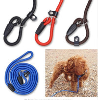 Match rope dog P-chain Teddy Bear VIP integrated traction strap pet supplies