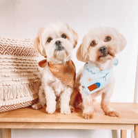 Fashion Pet Print Dog Bib