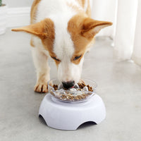 Cat bowl oblique mouth protects cervical vertebra