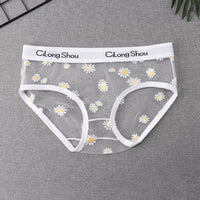 New Girls Fully Transparent Breathable Mesh Briefs Sexy