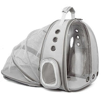 Rear Expandable Transparent Mesh Pet Backpack