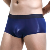 Ice Silk Seamless Boxers Boys Transparent Underpants