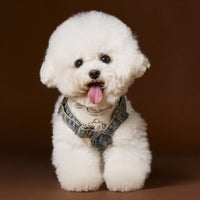 Teddy Bichon Small And Medium-sized Dogs Sleeveless New Denim Suspender Skirt