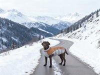Pet Coat Waterproof Windproof Puppy Small And Medium-sized Dogs