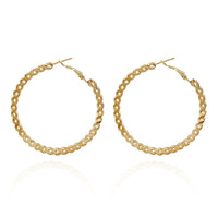Twist Metal Twisted Earrings Minority Fashion Creative Ear