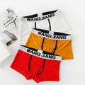 Men's Underwear Ice Silk Mesh Fabric Translucent Ice Silk
