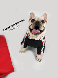 Spoof Autumn And Winter Sports Dog Clothes Spring Sweater