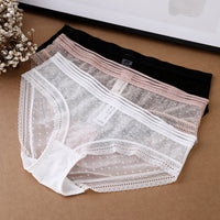 Pure cotton crotch briefs with mesh and lace sides