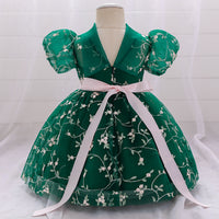 Children's Dress Princess Dress Embroidered Mesh Puffy One Year Old Celebration