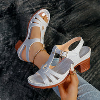 Peep Toe Wedge Platform Women's Sandals