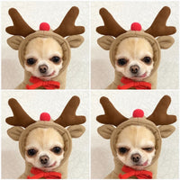 Puppy Dog Teddy Cat Plus Fleece Hooded Sweater Pet Supplies White Carrot
