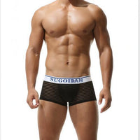 Striped Transparent Sexy Underwear Boxers