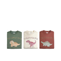Children's Ins Korean Cartoon Dinosaur Sweatshirt