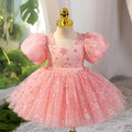 Little Girl Birthday Princess Dress Years Old Piano Performance