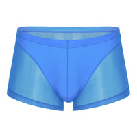 Thin Men's Mesh Translucent High Elastic Low Waist Panties