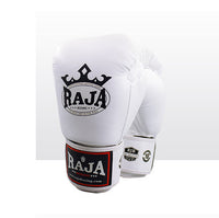 Free Fighting Training Of Boxing Children