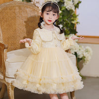 Girl's Dress Western Style Tulle Tutu Long Sleeve