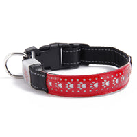 Luminous Embossed Collar Teddy Bichon Universal LED Carving