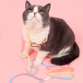 Dog Rainbow Traction Rope Explosion-proof And Adjustable