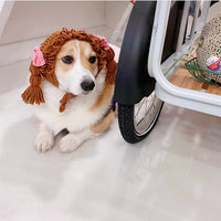Pomeranian Teddy Dog Funny Cat Headgear