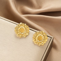 Premium Fashion Irregular Earrings, High-End Unique Niche Design, Stainless Steel Earrings Jewelry For Women