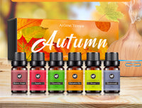 16 Theme Atmosphere Flameless Essential Oil Sets