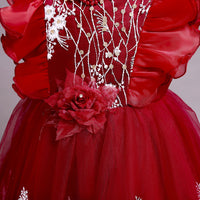 Embroidered Little Flowers Girls Dress Princess Dress
